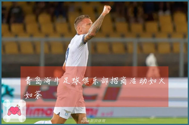 青岛海牛足球俱乐部招商活动如火如荼